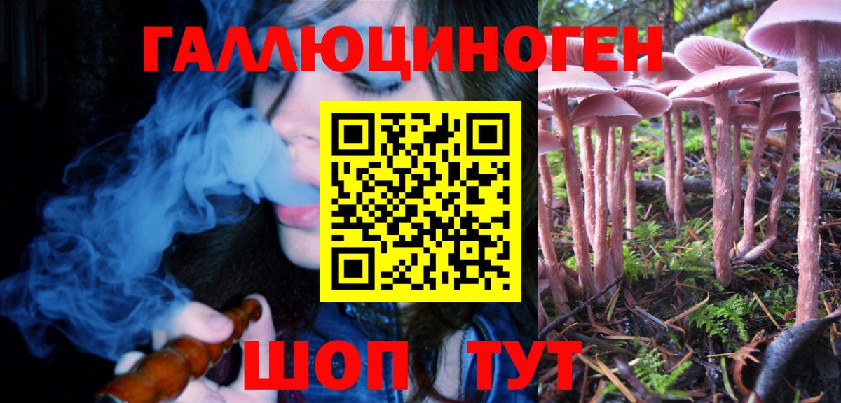 Псилоцибиновые грибы мицелий  Галлюциногенные грибы Cubensis  Вход с VPN  Качканар 